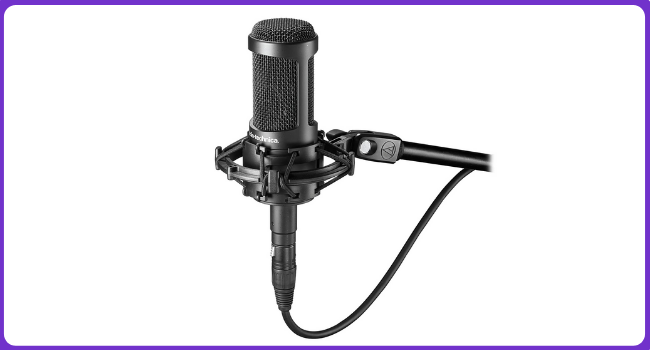 Audio-Technica AT2050 Multi-pattern Condenser Microphone