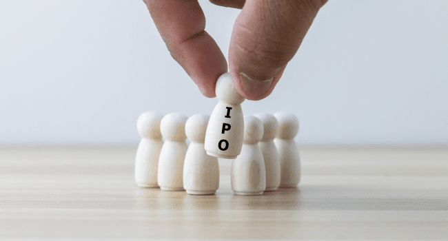 A Guide to the Upcoming IPOs of 2024