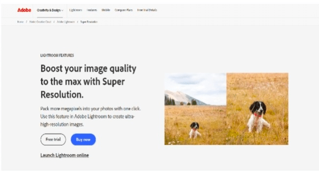 AI image enhancer
