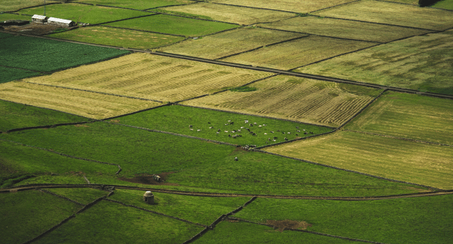 Agricultural Land