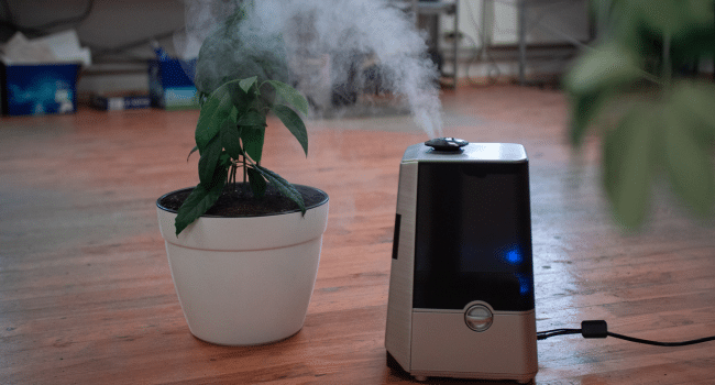 Air Purifiers Can Transform Your Fight Against UK Allergies