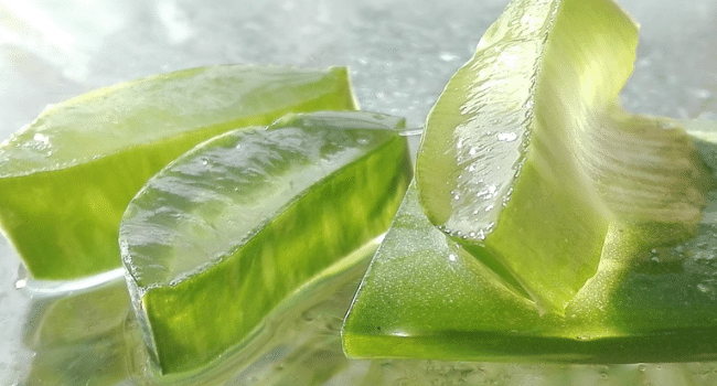 Aloe Vera