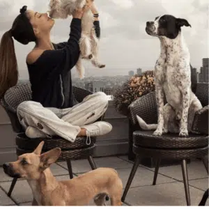 Ariana Grande Dogs Photo