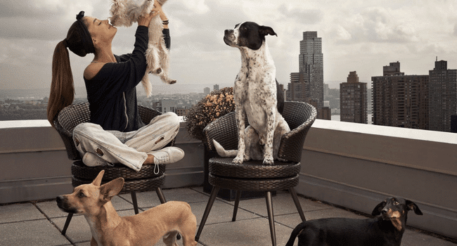 Ariana grande dog