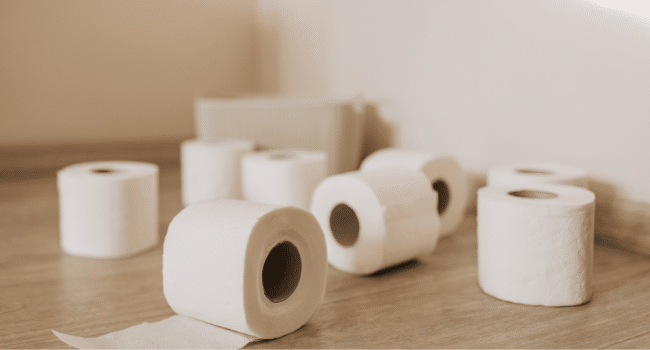 Bamboo Toilet Paper