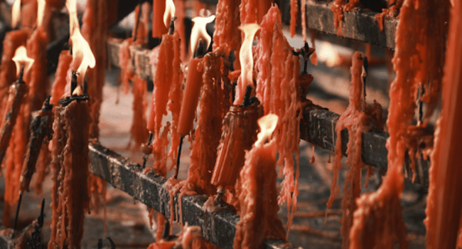Beef Sticks