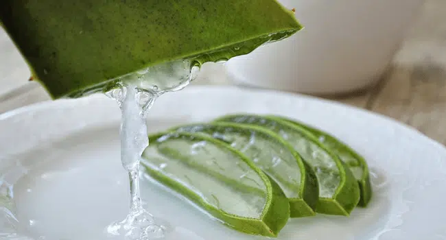 Benefits of Aloe Vera forWeight Loss