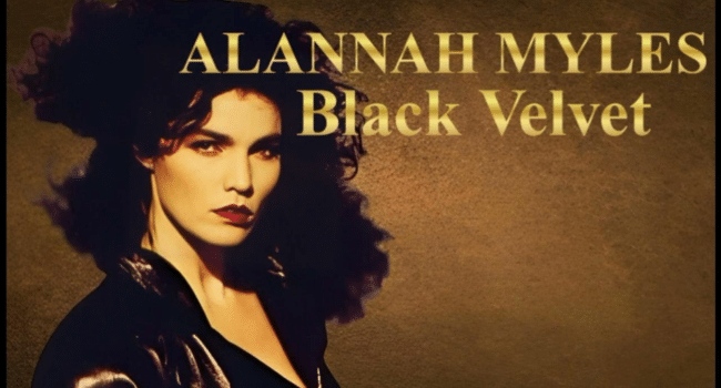 Black Velvet Lyrics