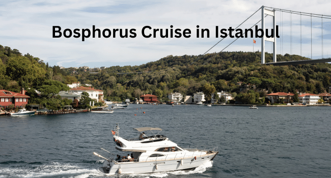 Bosphorus Cruise in Istanbul