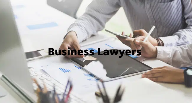 Business Lawyers