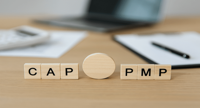 CAPM vs PMP
