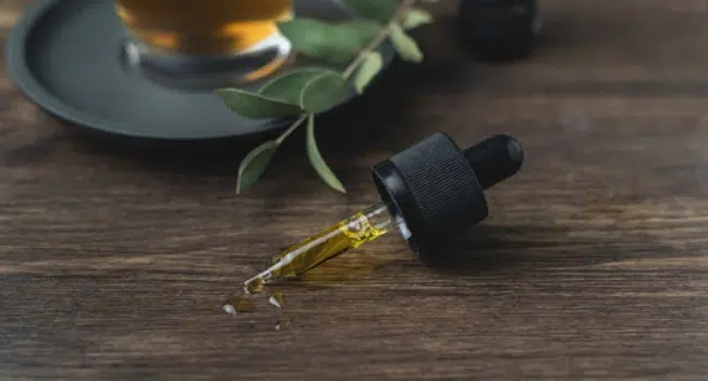 CBD Oil