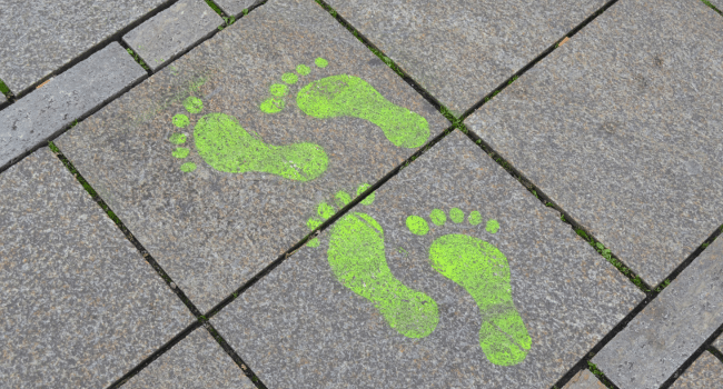 Carbon Footprint Calculators