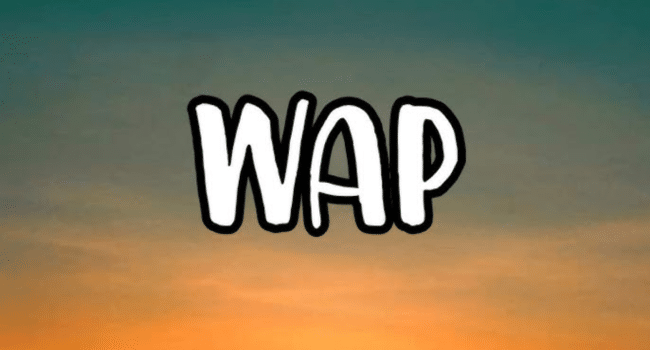 Cardi B WAP Lyrics