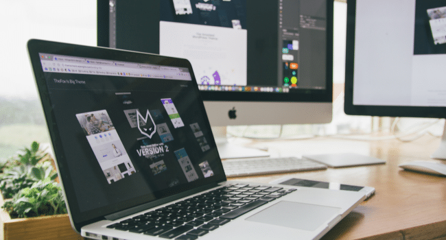 Case Studies