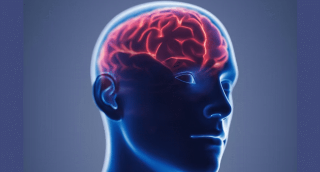 Cerebrovascular Disease