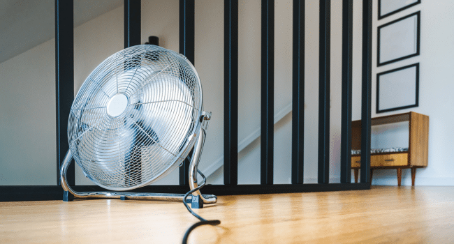 Circulation Fan in Every Season