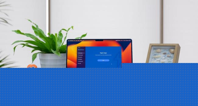 Clear System Data on Mac
