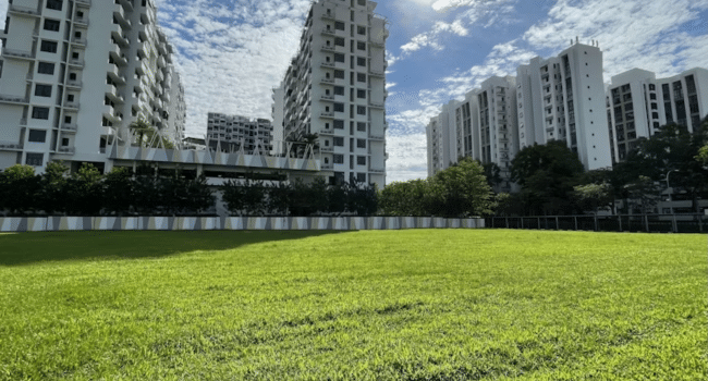 Commercial Landscaping