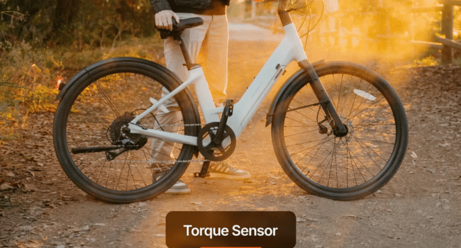 Compact Electric Mobility