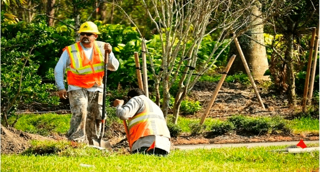 Council Jobs in Australia