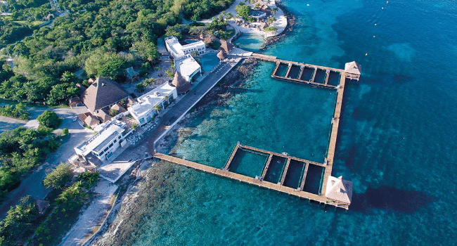 Cozumel is a famous