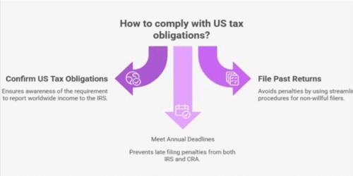Cross border tax filing process