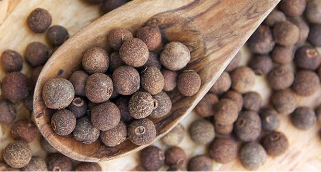 Cubeb Oil Exporters