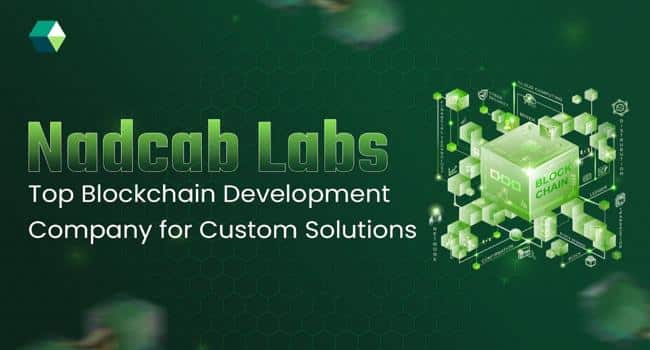 Custom Blockchain Development