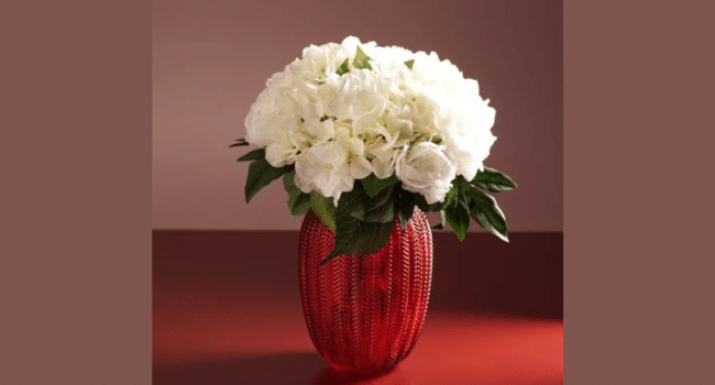 Decorate Your House with Vases