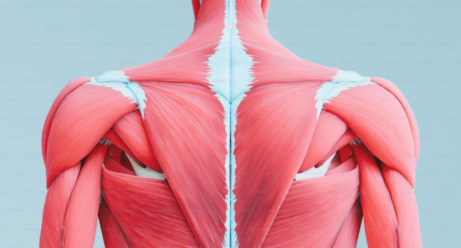 Defining Rheumatology