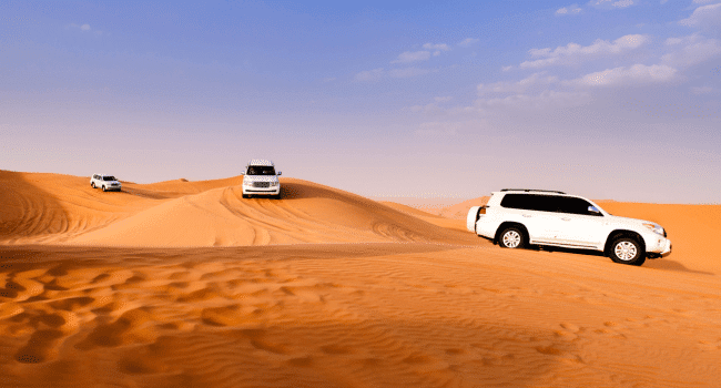 Desert Safari Tours