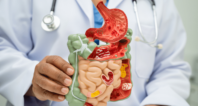 Digestive