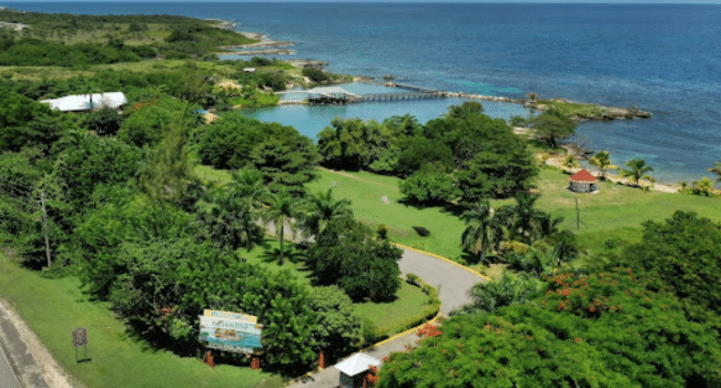 Dolphin Cove Ocho Ríos