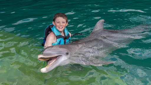 Dolphin Cove