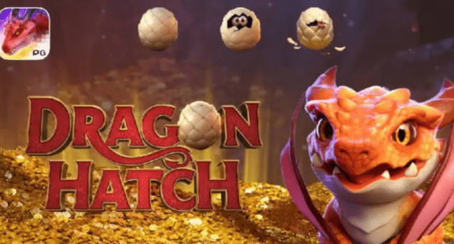 Dragon Hatch