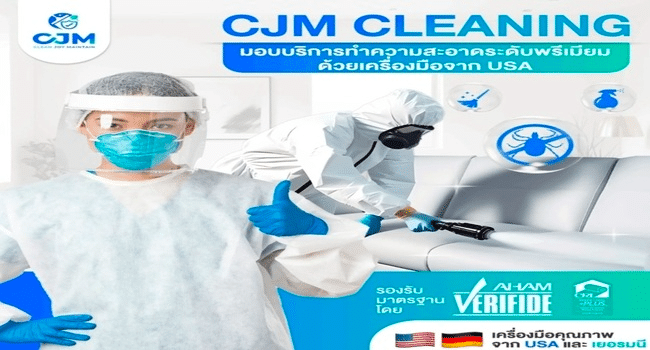 Dust Mite Removal