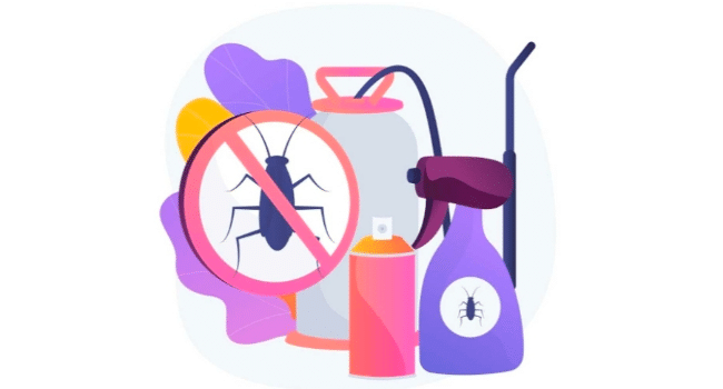 Dust Mite Removal