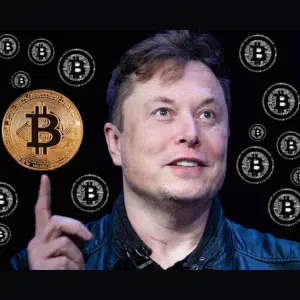 Elon Musk Bitcoin