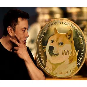 Elon Musk Dogecoin