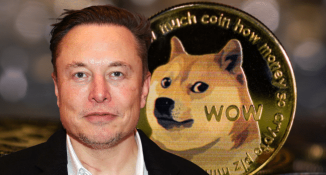 Elon musk and dogecoin