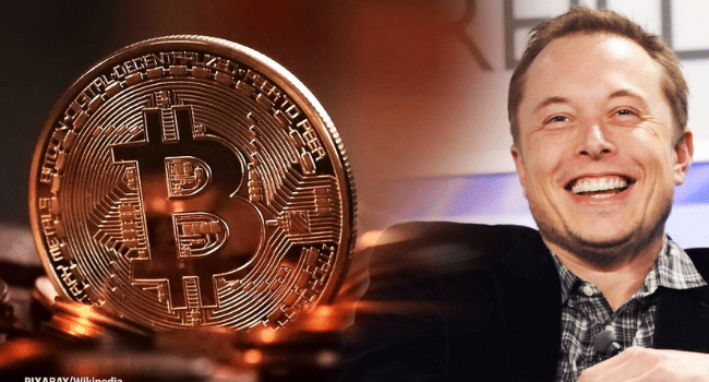 Elon musk bitcoin