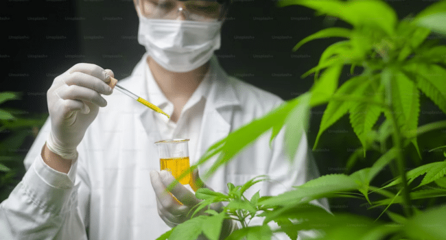 Emerging Cannabinoid Products