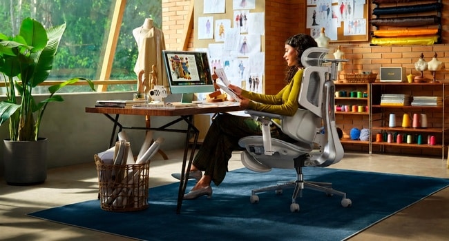 Ergonomic Chair, Home Office Ergonomics, Office Furniture,