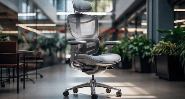 Ergonomics Drives Productivity and Wellbeing