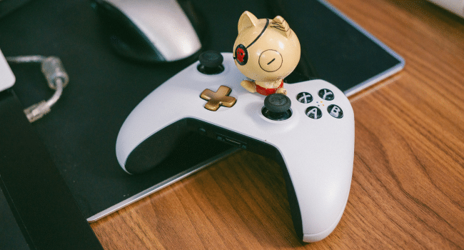 Exclusive Bonuses & Rewards