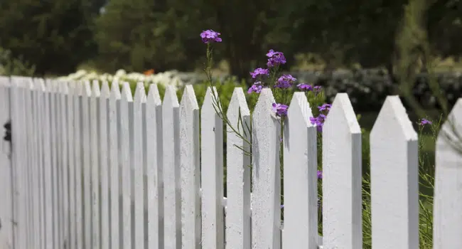 Fence