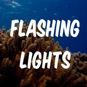 Flashing Lights Lyrics Flashing Lights Lyrics