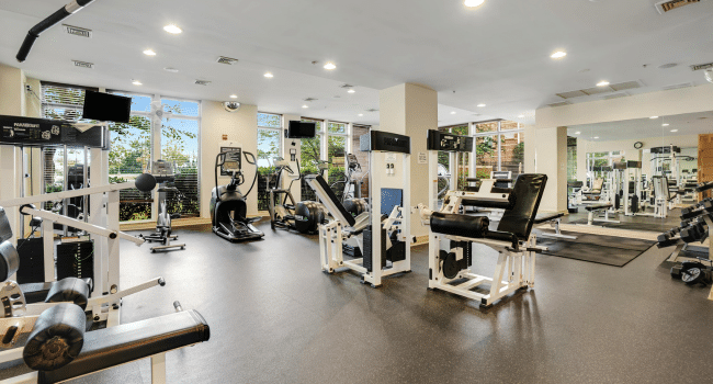 Full Body Workout Machines