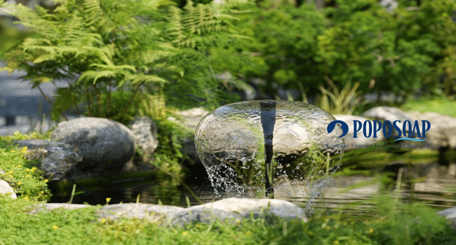 Garden pond designs